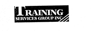 TRAINING SERVICES GROUP INC logo