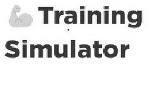 TRAINING SIMULATOR logo