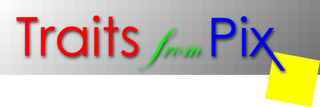 TRAITS FROM PIX logo