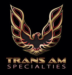 TRANS AM SPECIALTIES logo