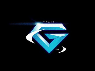 TRANS GEM logo
