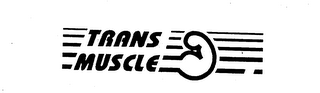 TRANS MUSCLE logo