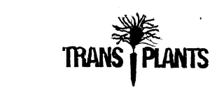 TRANS PLANTS logo