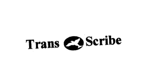 TRANS SCRIBE logo