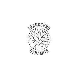 TRANSCEND DYNAMITE logo