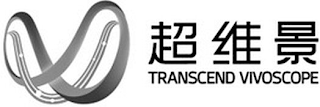 TRANSCEND VIVOSCOPE logo