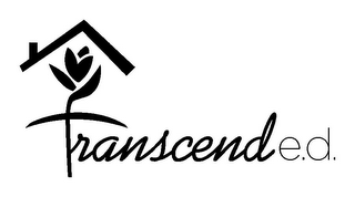 TRANSCENDE.D. logo