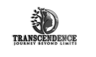 TRANSCENDENCE JOURNEY BEYOND LIMITS logo