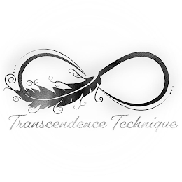 TRANSCENDENCE TECHNIQUE logo