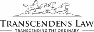 TRANSCENDENS LAW TRANSCENDING THE ORDINARY logo