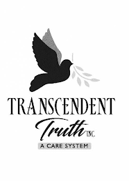 TRANSCENDENT TRUTH INC. A CARE SYSTEM logo