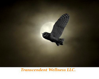 TRANSCENDENT WELLNESS LLC. logo