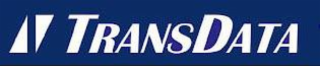TRANSDATA logo