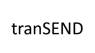 TRANSEND logo