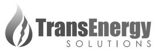 TRANSENERGY SOLUTIONS logo