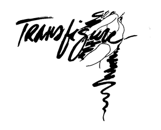 TRANSFIGURE logo