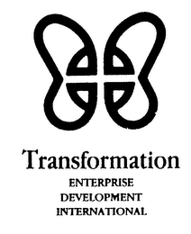 TRANSFORMATION ENTERPRISE DEVELOPMENT INTERNATIONAL logo