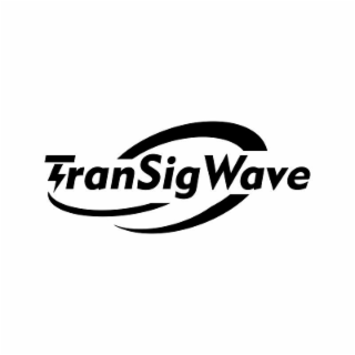 TRANSIGWAVE logo