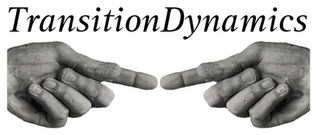 TRANSITIONDYNAMICS logo