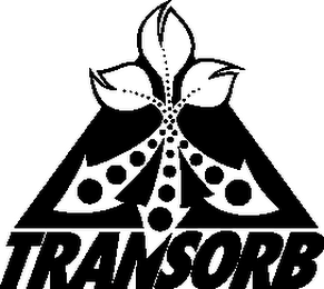 TRANSORB logo