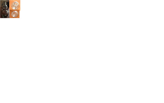 TRANSPARENT logo