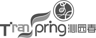 TRANSPRING logo