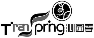 TRANSPRING logo
