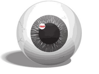 TRAP logo