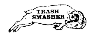 TRASH SMASHER logo