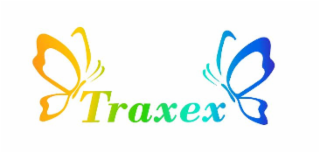 TRAXEX logo