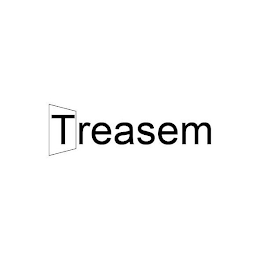 TREASEM logo