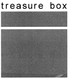TREASURE BOX logo