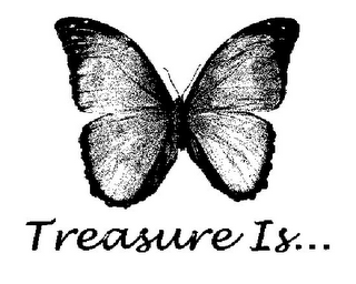 TREASURE IS... logo