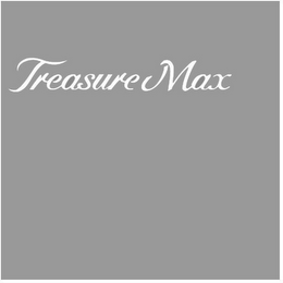 TREASURE MAX logo