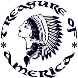 TREASURE OF AMERICA logo