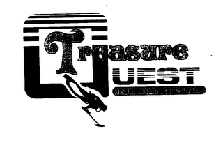 TREASURE QUEST INTERNATIONAL logo