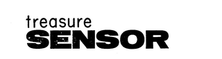 TREASURE SENSOR logo
