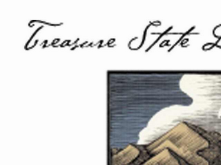TREASURE STATE DEVELOPMENT CORPORATION logo