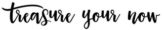 TREASURE YOUR NOW logo