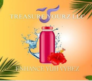 TREASURE YOURZ LLC ENHANCE YUH VYBEZ logo