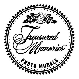 TREASURED MEMORIES PHOTO MURALS logo