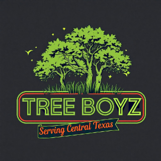 TREE BOYZ SERVING CENTRAL TEXAS logo