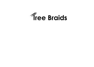 TREE BRAIDS logo