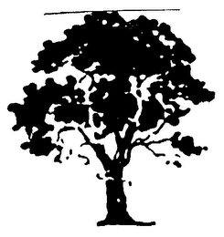 TREE TECH logo