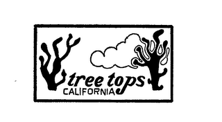 TREE TOPS CALIFORNIA logo