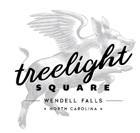 TREELIGHT SQUARE WENDELL FALLS NORTH CAROLINA logo