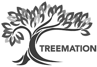 TREEMATION logo