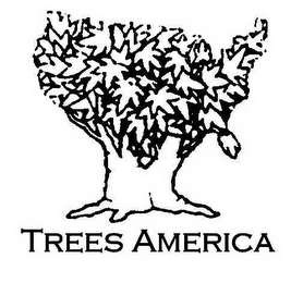 TREES AMERICA logo