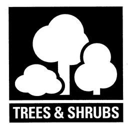 TREES & SHRUBS logo