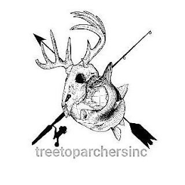 TREETOPARCHERSINC logo